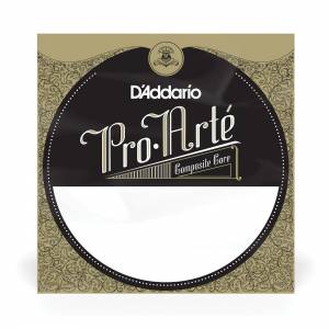  D'ADDARIO