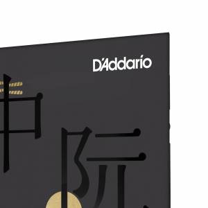  D'ADDARIO