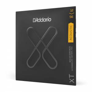  D'ADDARIO