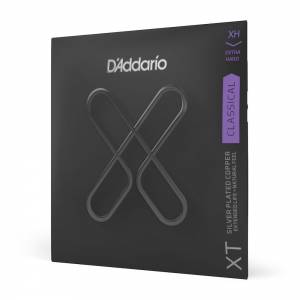  D'ADDARIO