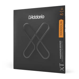  D'ADDARIO