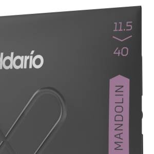  D'ADDARIO