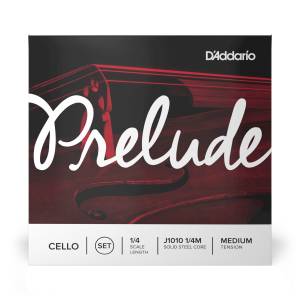  D'ADDARIO