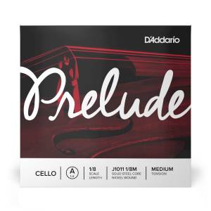  D'ADDARIO