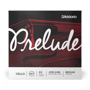  D'ADDARIO