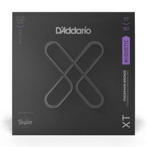  D'ADDARIO