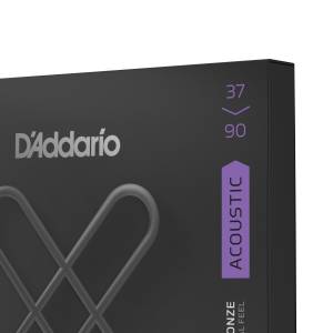  D'ADDARIO