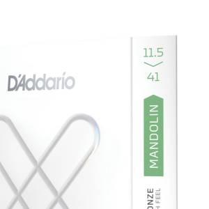  D'ADDARIO