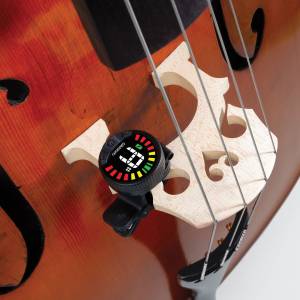  D'ADDARIO