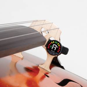  D'ADDARIO
