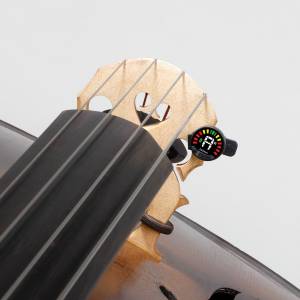  D'ADDARIO