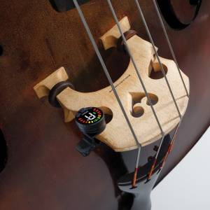  D'ADDARIO