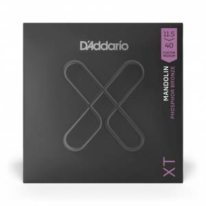  D'ADDARIO