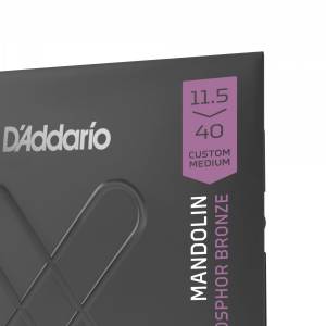  D'ADDARIO