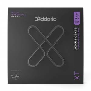  D'ADDARIO