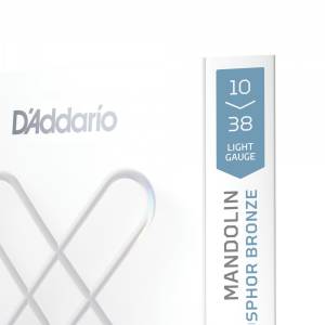  D'ADDARIO