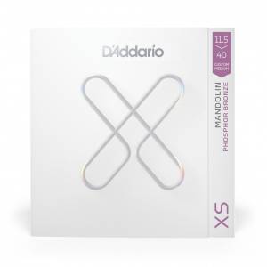 D'ADDARIO