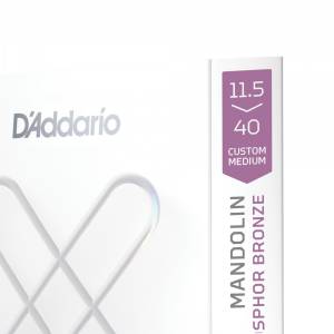  D'ADDARIO