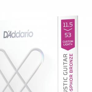  D'ADDARIO