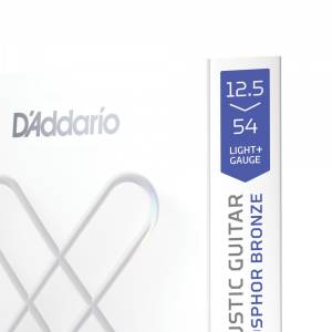  D'ADDARIO