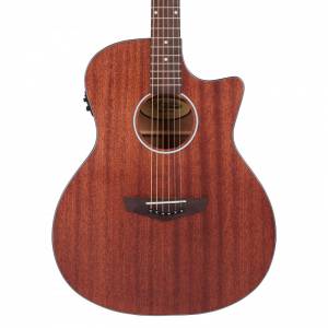 Chitarra acustica elettrificata D'ANGELICO PREMIER GRAMERCY LS