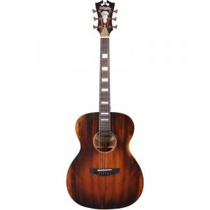 Chitarra acustica D'ANGELICO Premier Tammany Aged Natural