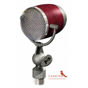 MICROFONO ELECTROVOICE CARDINAL