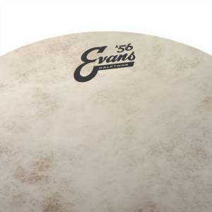 pelle per batteria evans Calftone 10&quot;