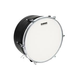 pelle per batteria evans G1 coated 12&quot;