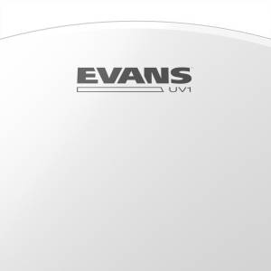 pelle per batteria evans uv1 16 coated