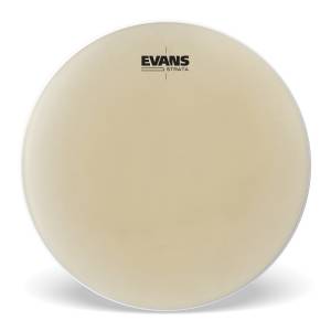  EVANS