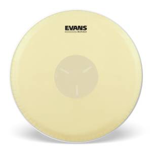  EVANS