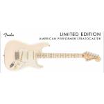 FENDER American Performer Stratocaster