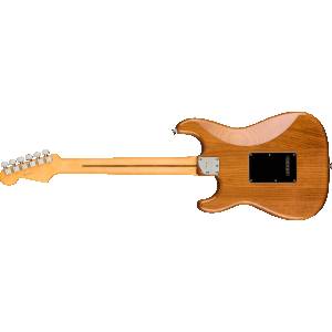 Chitarra elettrica FENDER American Pro II Stratocaster