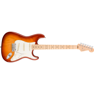 Chitarra elettrica FENDER AMERICAN PROFESSIONAL