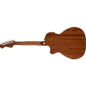 Chitarra acustica elettrificata FENDER Newporter special