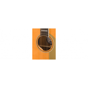 Chitarra acustica elettrificata FENDER Palomino Vintage Chitarra acustica elettrificata FENDER Palomino Vintage