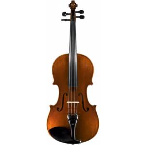 VIOLA FENICE MODELLO C MIS. 38