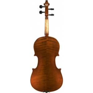 VIOLA FENICE MODELLO C MIS. 38