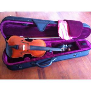 VIOLINO FENICE MODELLO D 1/10