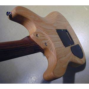 CHITARRA ELETTRICA FRAMUS DIABLO PRO