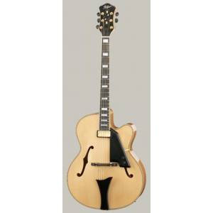 CHITARRA Acustica HOFNER NEW PRESIDENT
