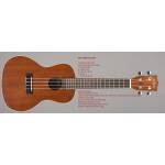 KALA Mahogany ply concert ukulele