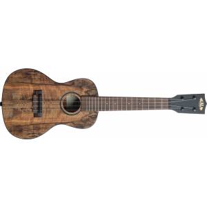 Ukulele concerto KALA MG C