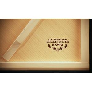 PIANOFORTE DIGITALE KAWAI CA99 BK