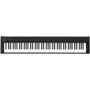 PIANOFORTE STAGE KORG D1