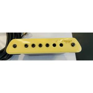 PICK UP L.R. BAGGS M1