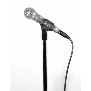 COVER MICROFONO MicFx Microphone Sleeves SILVER SENSATION