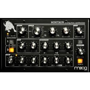 SINTETIZZATORE MOOG MINITAUR