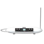 MOOG THEREMINI